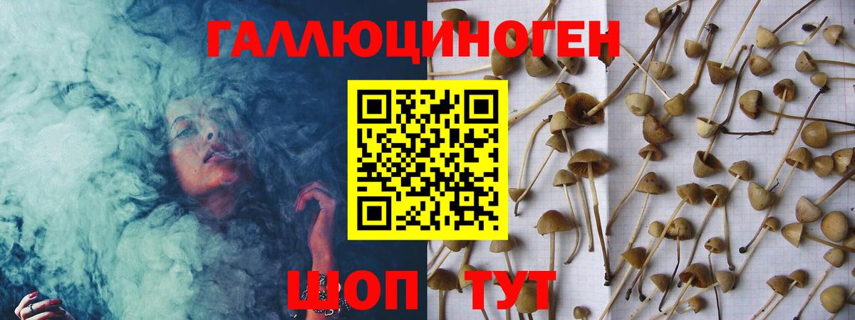 Анапа  купить наркоту  Вход с VPN  Галлюциногенные грибы прущие грибы 
